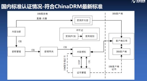 構(gòu)建符合融媒體安全的版權(quán)保護(hù)系統(tǒng)——浦江論道永新視博李自東談IPTV行業(yè)健康生態(tài)軟件開發(fā)